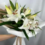 Bílé Lilie