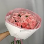 Růžové karafiáty